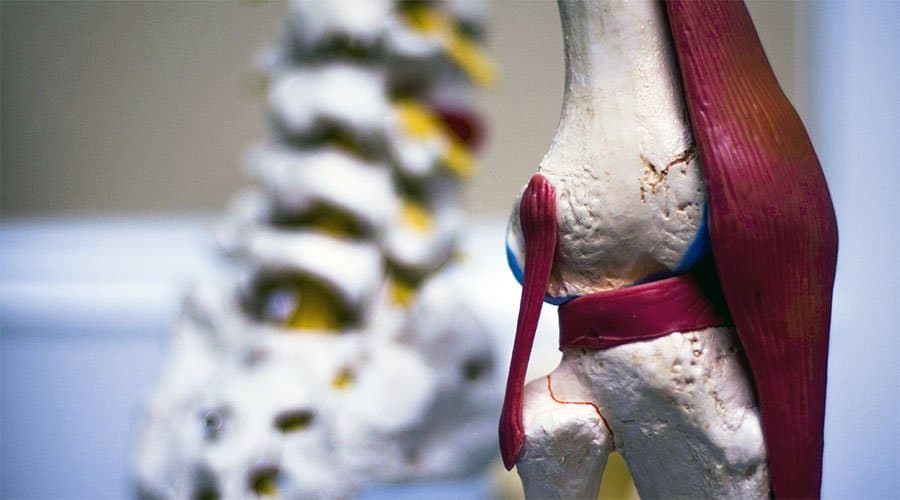 image of knee joint